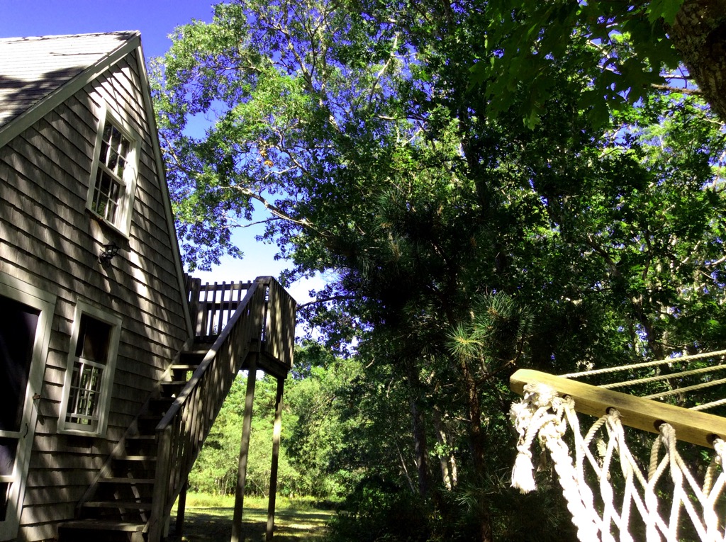 MARTHA'S VINYARD: CABIN HAMMOCK