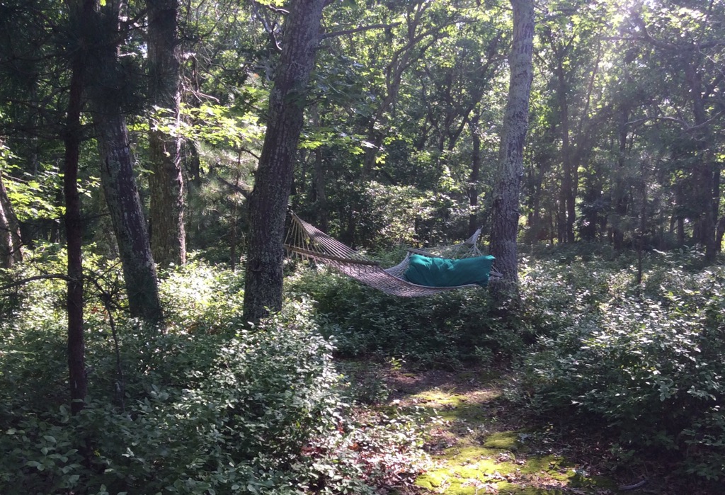 MARTHA'S VINYARD: HAMMOCK