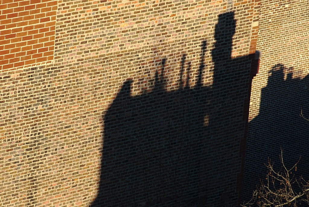 SHADOW VIEW